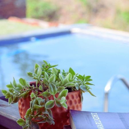 Waterrock Stays The Mango Tree Chalet 浦那 外观 照片